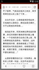 爱游戏官网赞助的意甲